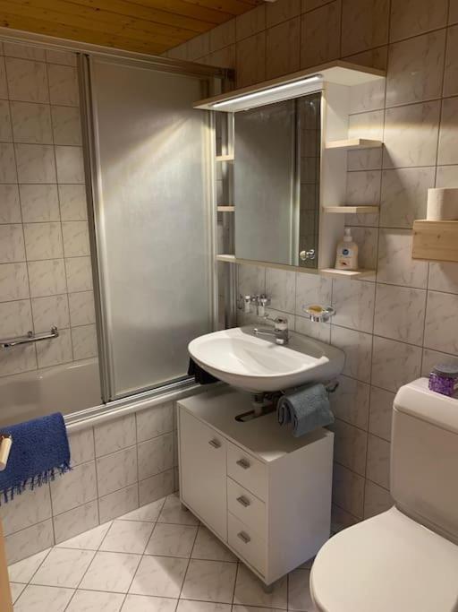 Dachwohnung Zentrum Apartment